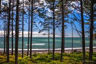 Ruby Beach-7290